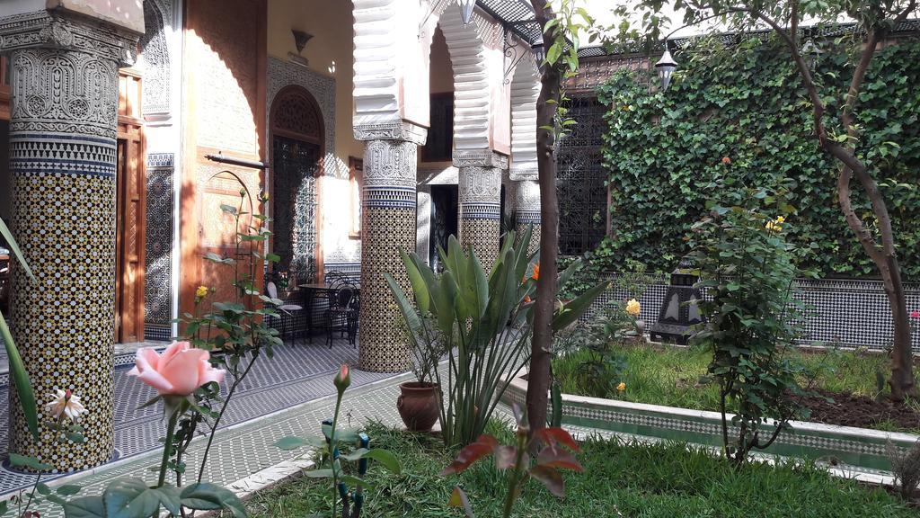 Jaouhara Riad